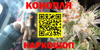 прущие грибы Апшеронск